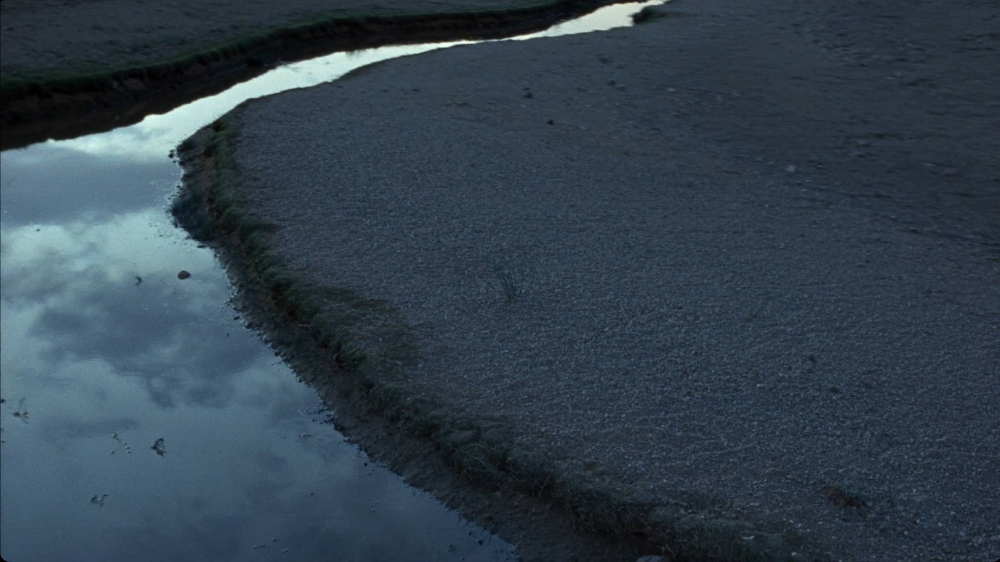 A ribbon of water threading across pale desert gravel at dusk, green shoots along its wet margins